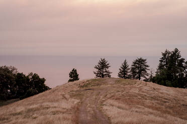 Berghang mit Blick auf die Küste von Big Sur bei Sonnenuntergang - CAVF86293