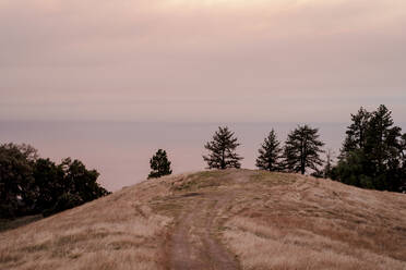 Hillside overlooking Big Sur coastline at sunset - CAVF86293