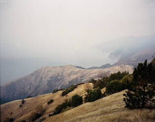 Big Sur Mountains am Morgen mit Rauchschicht von Waldtannen - CAVF86311