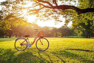 Fahrrad auf grasbewachsenem Feld im Park - EYF08864