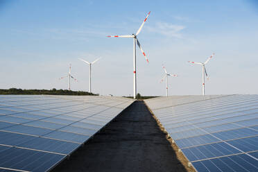 Solarmodule und Windmühlen vor blauem Himmel - EYF08939