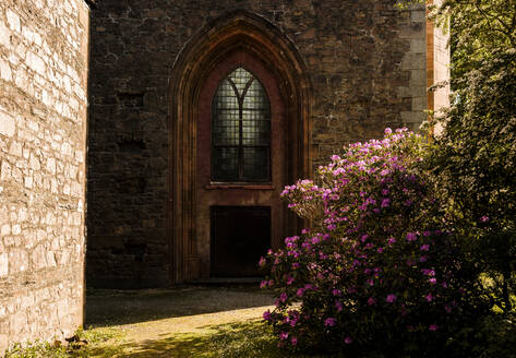 Church door with a rhododendron bush in front - CAVF86457