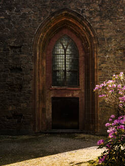 Church door with a rhododendron bush in front - CAVF86460