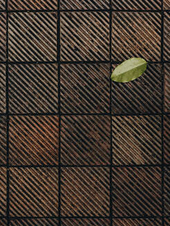 Closeup of terracotta tile with lone leaf - CAVF86473