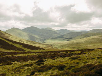 Sanfte Hügel in der schottischen Landschaft - CAVF86483