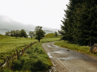 Landstraße durch Weideland in Schottland - CAVF86490