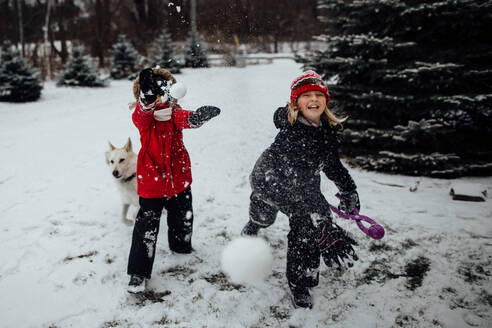 Kinder werfen Schneebälle auf die Kamera mit Hund - CAVF86508