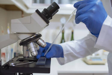 Nahaufnahme der Hände mit der Probe auf dem Mikroskop im Weinbaulabor. - CAVF86534