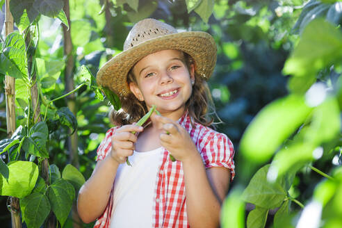 Lächelndes Mädchen pflückt Bohnen im Garten - LJF01612