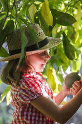 Lächelndes Mädchen pflückt Avocado im Garten - LJF01614