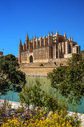 Spanien, Balearische Inseln, Palma de Mallorca, Kathedrale von Palma an einem sonnigen Tag - PUF01944