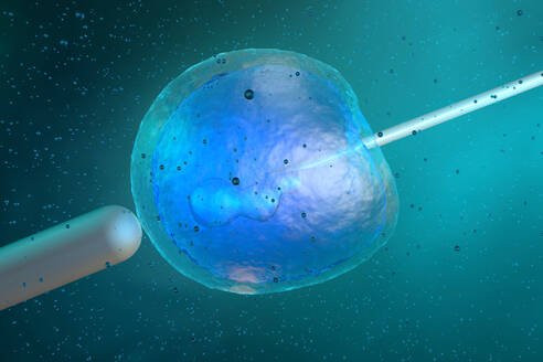 Dreidimensionale Darstellung einer mit DNA injizierten Stammzelle - SPCF00711