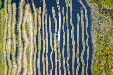 Myanmar, Staat Shan, Gemeinde Nyaungshwe, Luftaufnahme der schwimmenden Gärten auf dem Inle-See - RUNF03724