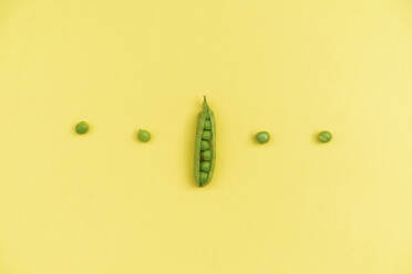 Studioaufnahme einer Reihe von grünen Erbsen und einer einzelnen Erbsenschote vor gelbem Hintergrund - AFVF06704
