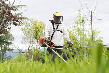 Mature man cutting grass with gasoline machine in farm - SKCF00638