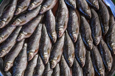 Myanmar, Kachin-Staat, Bunch of Fresh fish for sale - RUNF03747