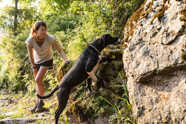 Frau streichelt und spielt mit ihrem Hund in einem Wald. - CAVF86656