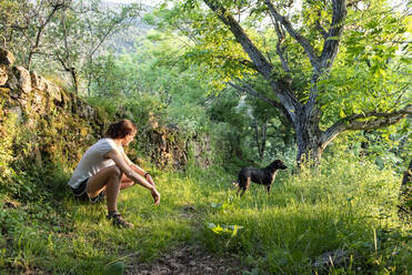 Woman petting and playing with her dog in a forest. - CAVF86659