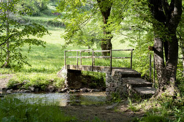 Holzbrücke über einen Fluss inmitten eines Waldes. - CAVF86662