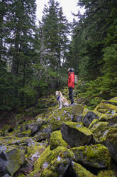 Male hiker and fluffy dog standing on mossy rocks in the mountains - CAVF86675