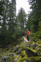 Male hiker and fluffy dog standing on mossy rocks in the mountains - CAVF86679