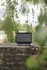 Laptop an einer Backsteinmauer auf dem Lande - GUSF04011