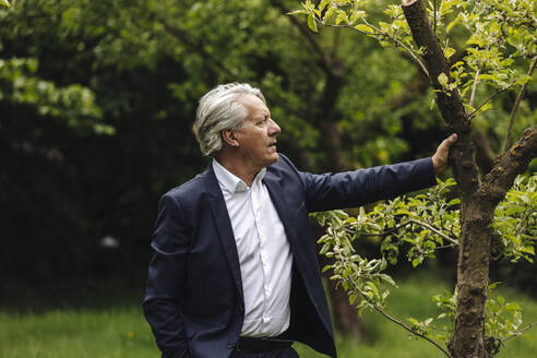 Ein älterer Geschäftsmann steht an einem Baum in einem ländlichen Garten - GUSF04047