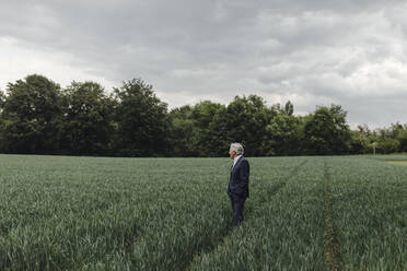 Älterer Geschäftsmann auf einem Feld auf dem Lande - GUSF04055