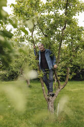 Älterer Mann klettert auf einen Baum in einem ländlichen Garten - GUSF04095