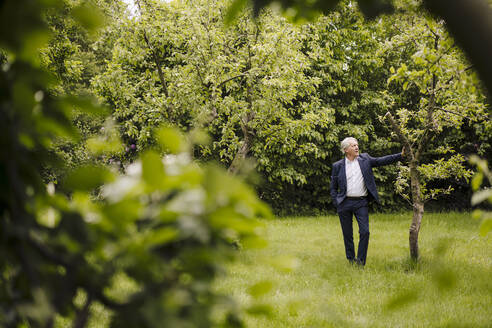 Ein älterer Geschäftsmann steht an einem Baum in einem ländlichen Garten - GUSF04148