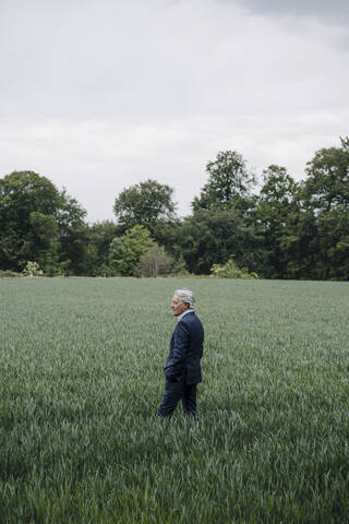 Älterer Geschäftsmann auf einem Feld auf dem Lande, lizenzfreies Stockfoto