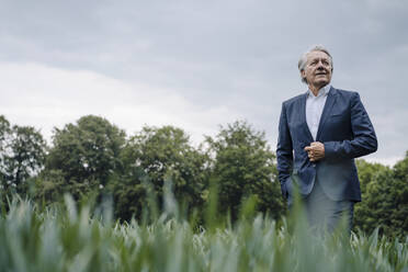 Confident senior businessman on a field in the countryside - GUSF04157