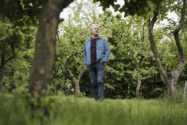 Senior man standing in a rural garden - GUSF04182