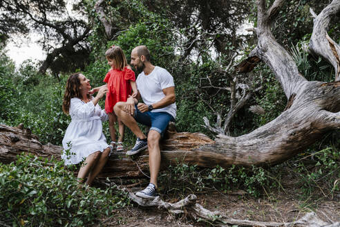 Familie entspannt sich auf einem umgestürzten Baum im Wald - EGAF00365