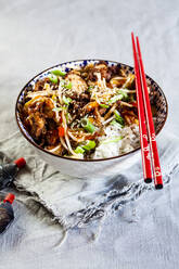 Bowl with sweet and sour chicken and vegetables on rice - SBDF04275