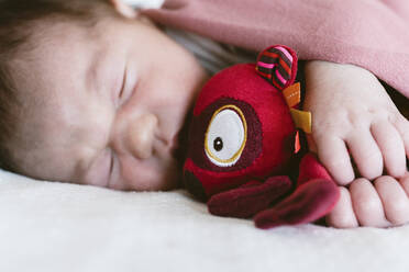 Nahaufnahme eines neugeborenen Mädchens, das ein Spielzeug hält, während es auf einem Bett im Krankenhaus schläft - GEMF03912