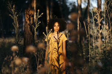 Young woman with afro hair standing amidst plants in forest during sunset - TCEF00875