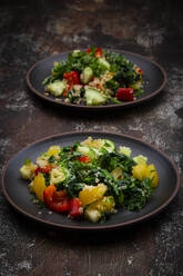 Two plates of warm vegan salad with quinoa, spinach, bell peppers, tomatoes, cucumbers, mint and parsley - LVF08975