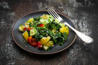 Plate of warm vegan salad with quinoa, spinach, bell peppers, tomatoes, cucumbers, mint and parsley - LVF08977