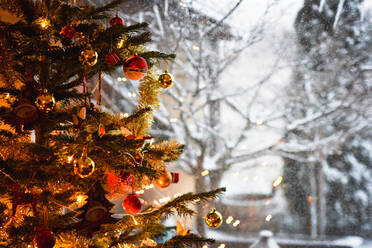 Weihnachtsbaum gegen Fenster - EYF09222