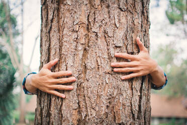 Close-Up Of Hand Embracing Tree Trunk - EYF09308