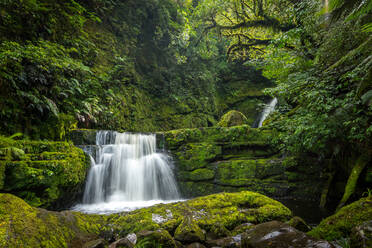 Waterfall In Forest - EYF09370