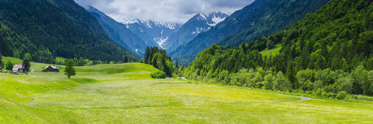 Germany, Bavaria, Allgau, Oberallgau, Trettachtal, Alpine meadow - WGF01344