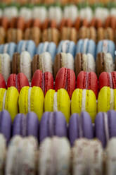 Rows of colorful macaroon cookies - NGF00559