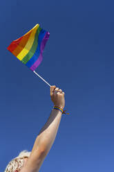 Arm schwenkt LGBTQ-Flagge - CJMF00301