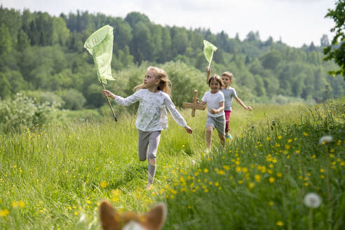 Freunde halten Schmetterlingsnetze beim Laufen auf einer Wiese im Wald - VPIF02537