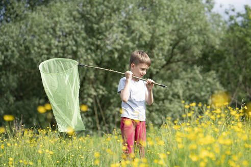 Cute boy catching butterflies with net while standing amidst plants in forest - VPIF02538