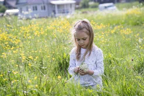 Cute girl picking flowers while sitting on grassy land - VPIF02548