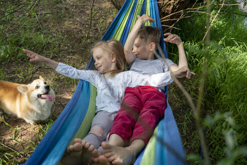 Cute friends looking at dog while relaxing on hammock in forest - VPIF02563