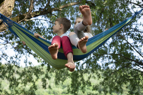 Children relaxing on hammock against trees in forest - VPIF02566